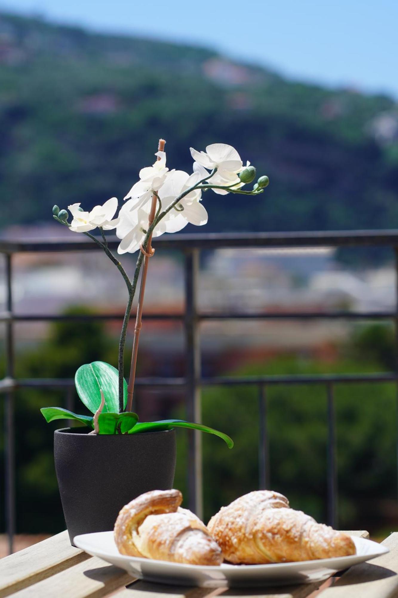 Casa Nelida, Sorrento Centre Apartment ภายนอก รูปภาพ